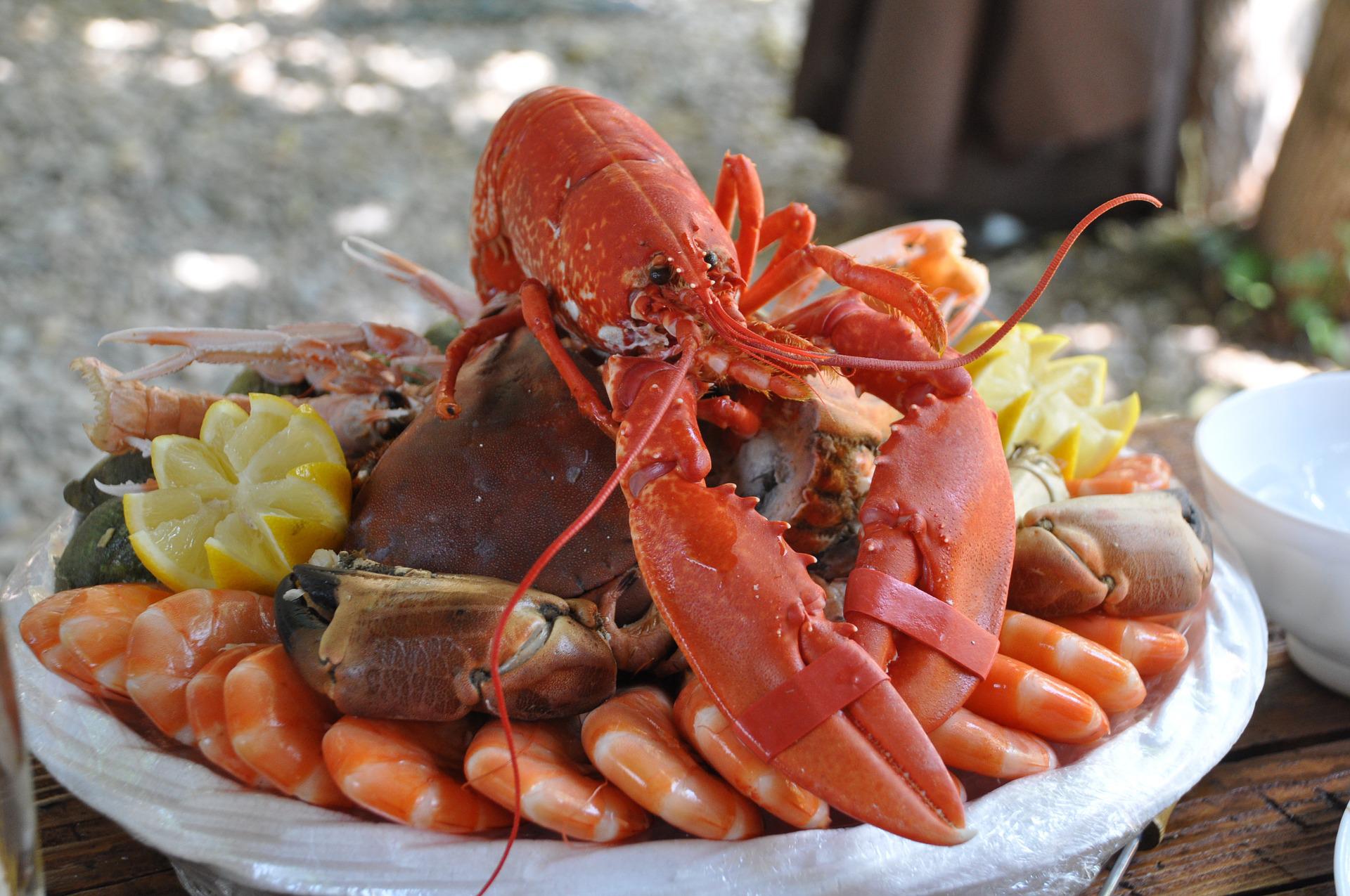 Enjoy signature lobster and more at Twisted Lobster Cape Coral.